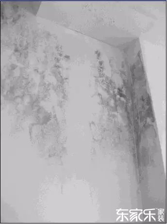 墻面發(fā)霉發(fā)黑怎么辦？墻面已經(jīng)出現(xiàn)霉斑時怎么做？