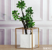 室內(nèi)裝修有哪些裝修風(fēng)格？簡(jiǎn)述各類裝修風(fēng)格優(yōu)缺點(diǎn)