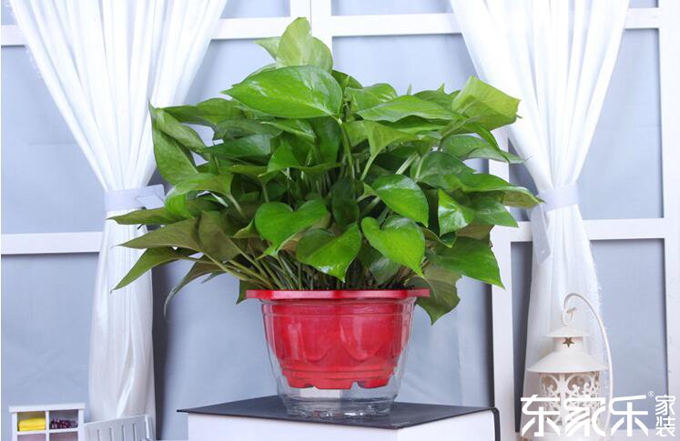 剛裝修完的房子里含有哪些有害物質(zhì)？哪些方法可以去除？